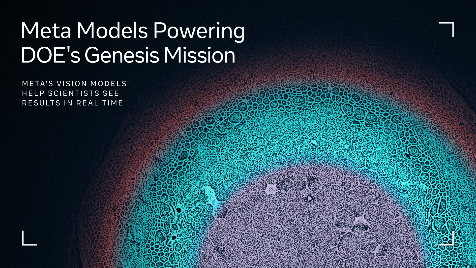 Scientific imaging workflow graphic from Meta's Genesis Mission report